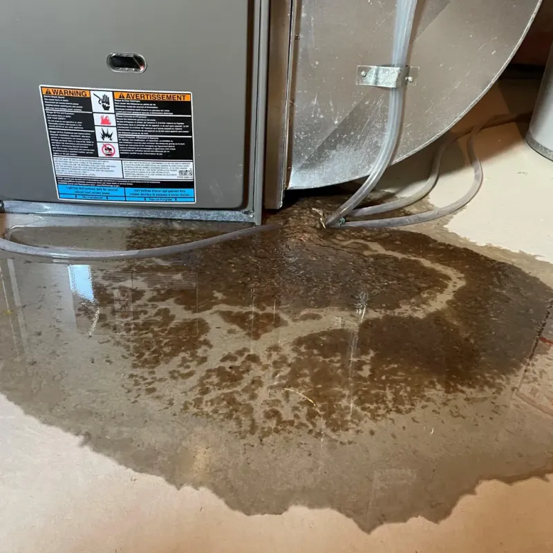 Appliance Leak Cleanup in Fortville, IN